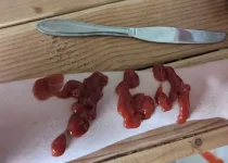 764_ketchup_cut.webp